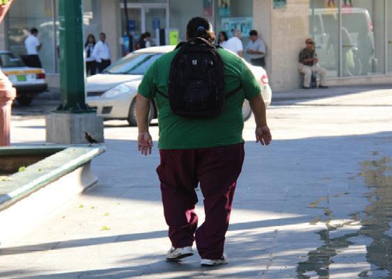 La obesidad es un importante factor de riesgo para la diabetes, por lo que debe evitarse.