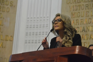 La diputada perredista Nora Arias resaltó que esta obra es de vital importancia para la delegación Gustavo A. Madero.