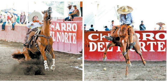 Charrería en Tepozotlán 