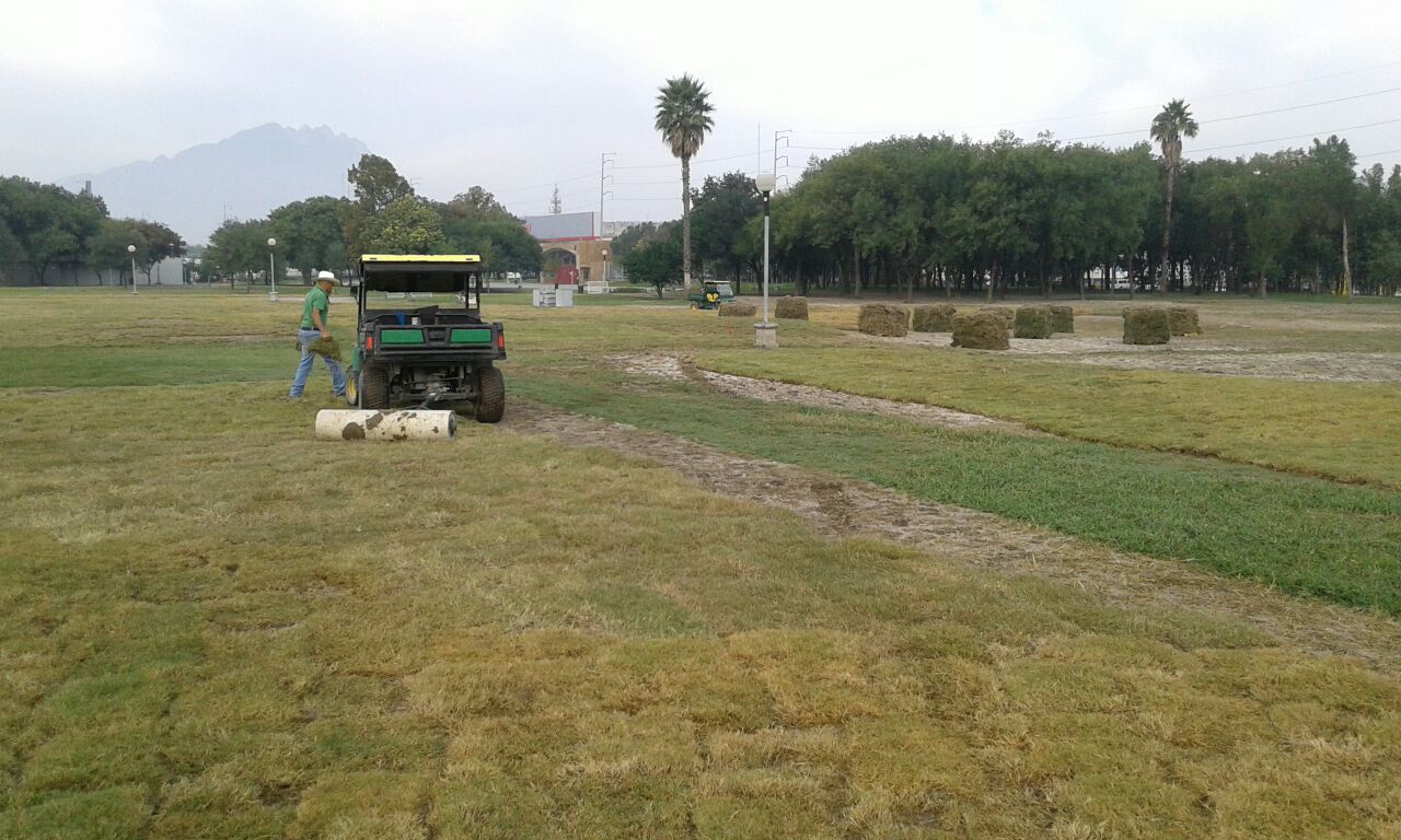 Empleados del parque recreativo realizan las labores de restauración. 