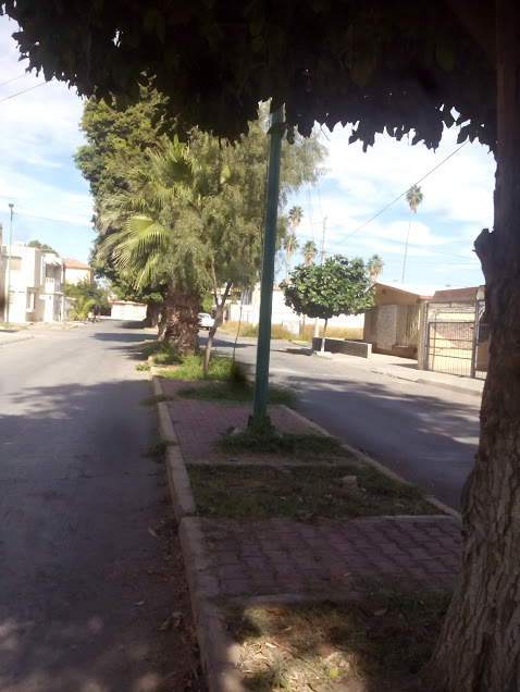 Vecinos del Fraccionamiento del Bosque en Gómez Palacio, se sienten abandonados por las autoridades.