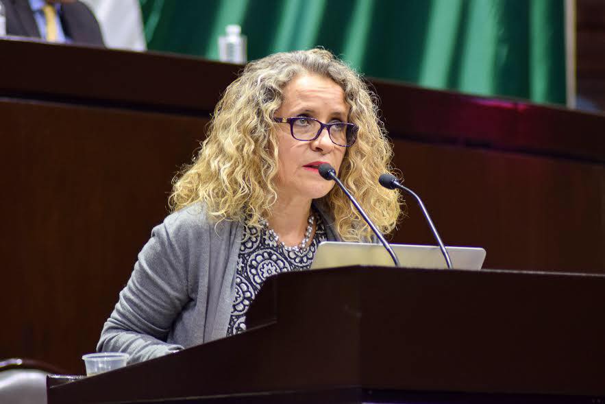 La diputada de Morena, Araceli Damián.