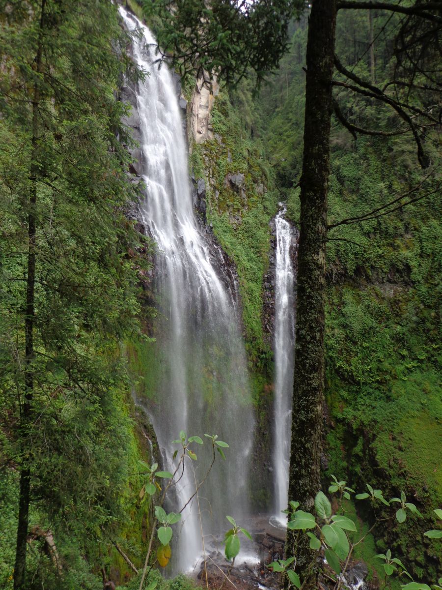 Cuentan con gran riqueza natural.