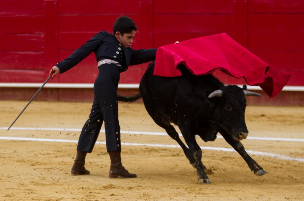 Las pequeñas promesas de la tauromaquia practican y sueñan con ser grandes toreros algún día. 