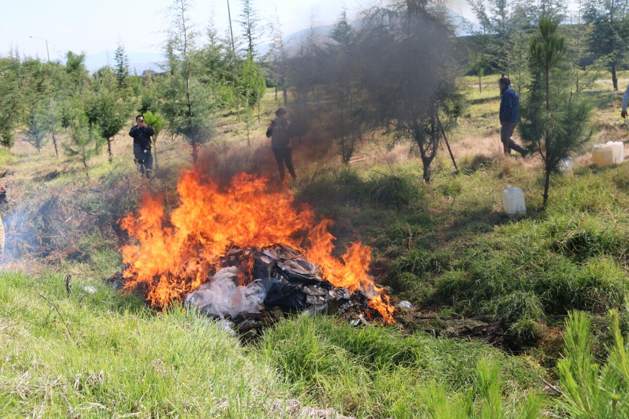 Quema, incineración de drogas, droga, PGR