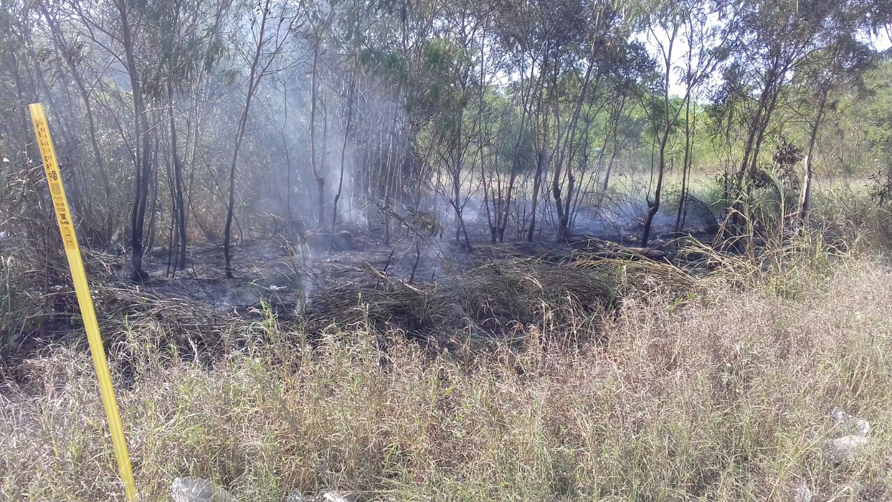 Incendio maleza alrededor del penal de Altamira.