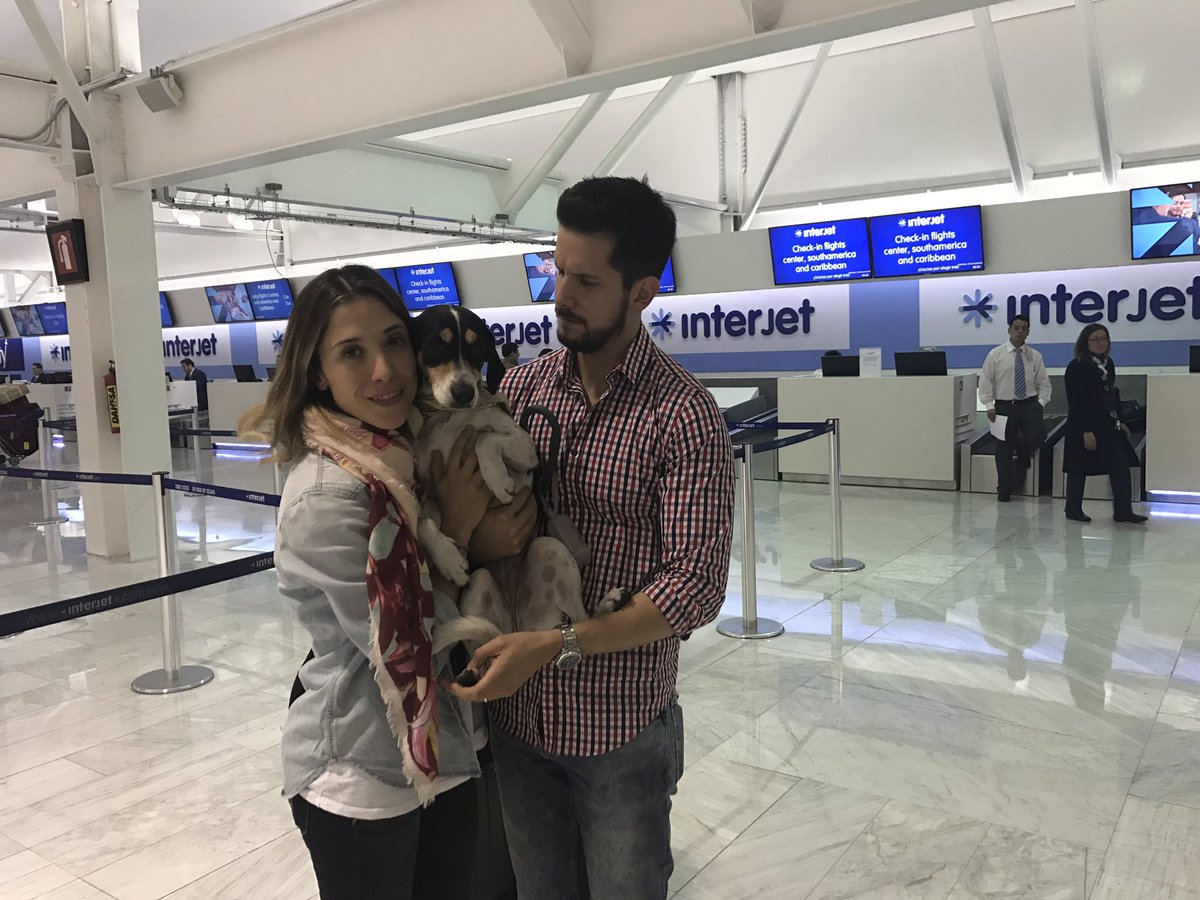 Luego de varias horas de búsqueda, Mika se reunió con su familia.