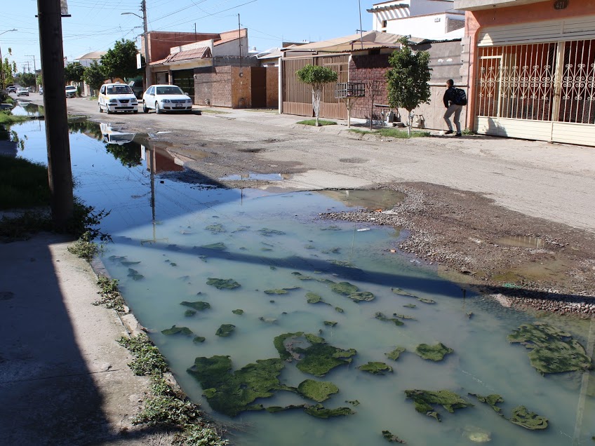 La Jurisdicción Sanitaria 2 registra 879 casos de dengue.