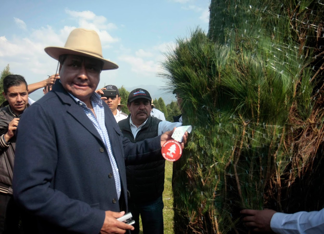 Con la etiqueta roja podrán identificar los árboles de la entidad.
