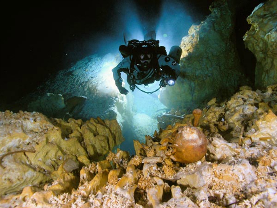 Los hallazgos se realizaron en cuevas marinas ubicadas en un transecto de 50 kilómetros radiales en las zonas de Muyil, Tulum y Chumpón, Quintana Roo.