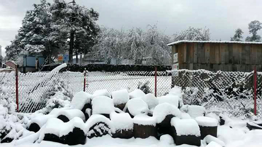 Protección Civil reporta nueve municipios con ligeras nevadas.