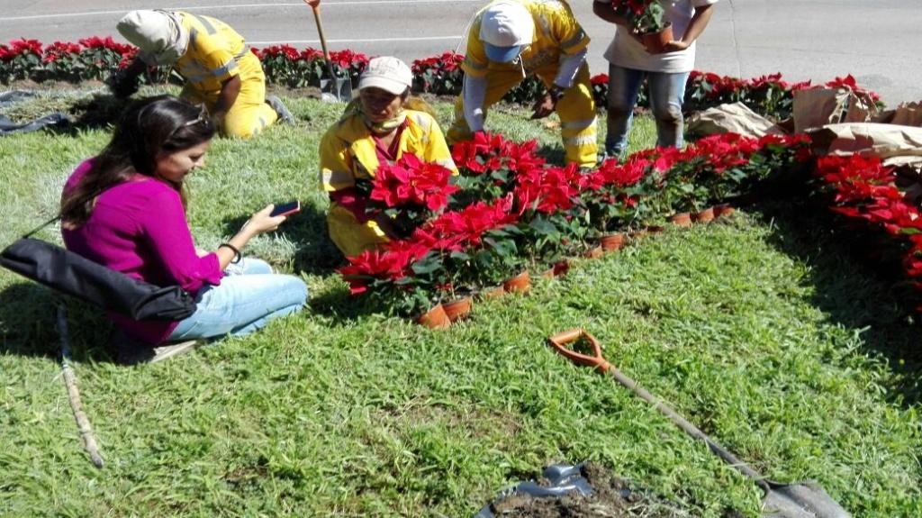 Las flores fueron colocadas en los accesos a la playa.