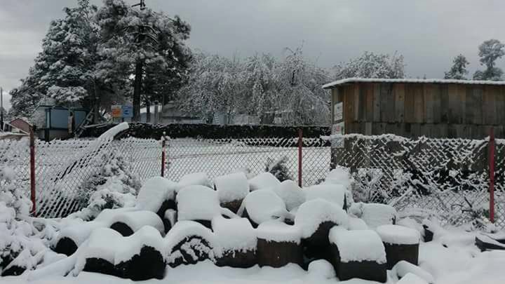 Conagua durango analiza solicitar declaratoria de emergencia ante nevadas.