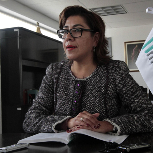 La presidenta del Infoem, Josefina Román Vergara.