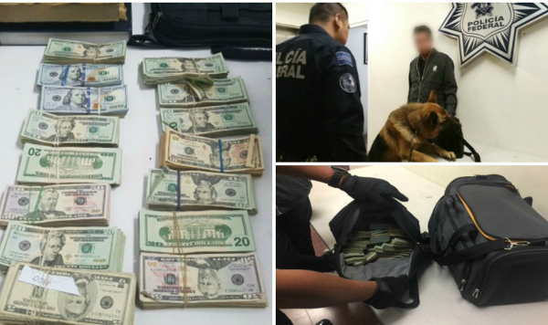 Los dólares no fueron declarados por el pasajero, quien además llevaba 10 mil pesos en las bolsas de los pantalones.