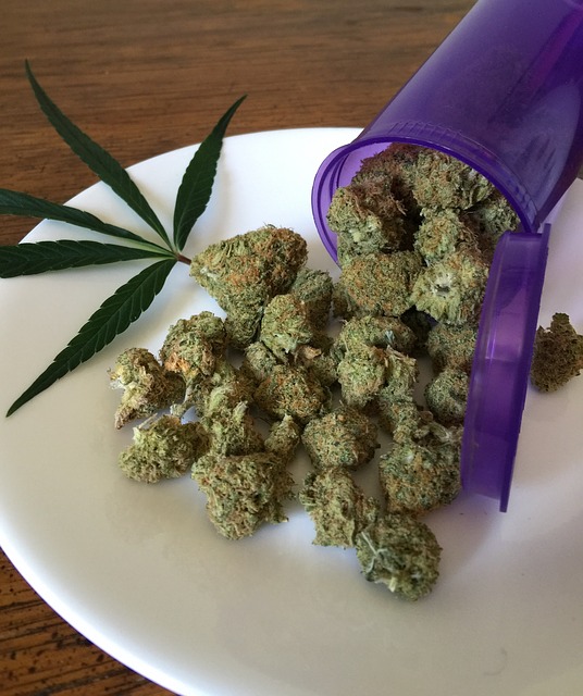 La mariguana y sus derivados tienen diversos usos medicinales.