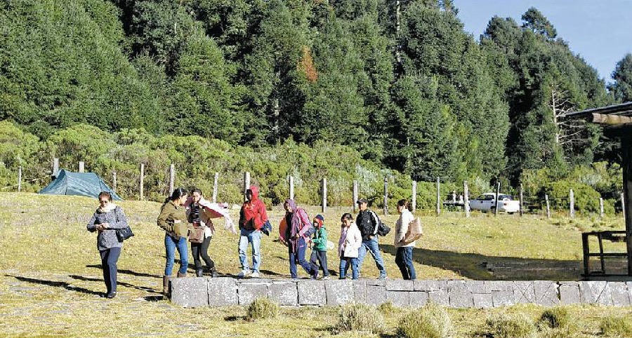 Ludger Brenner, académico de la UAM Iztapalapa, consideró que los bosques pueden ser visitados todo el año. 