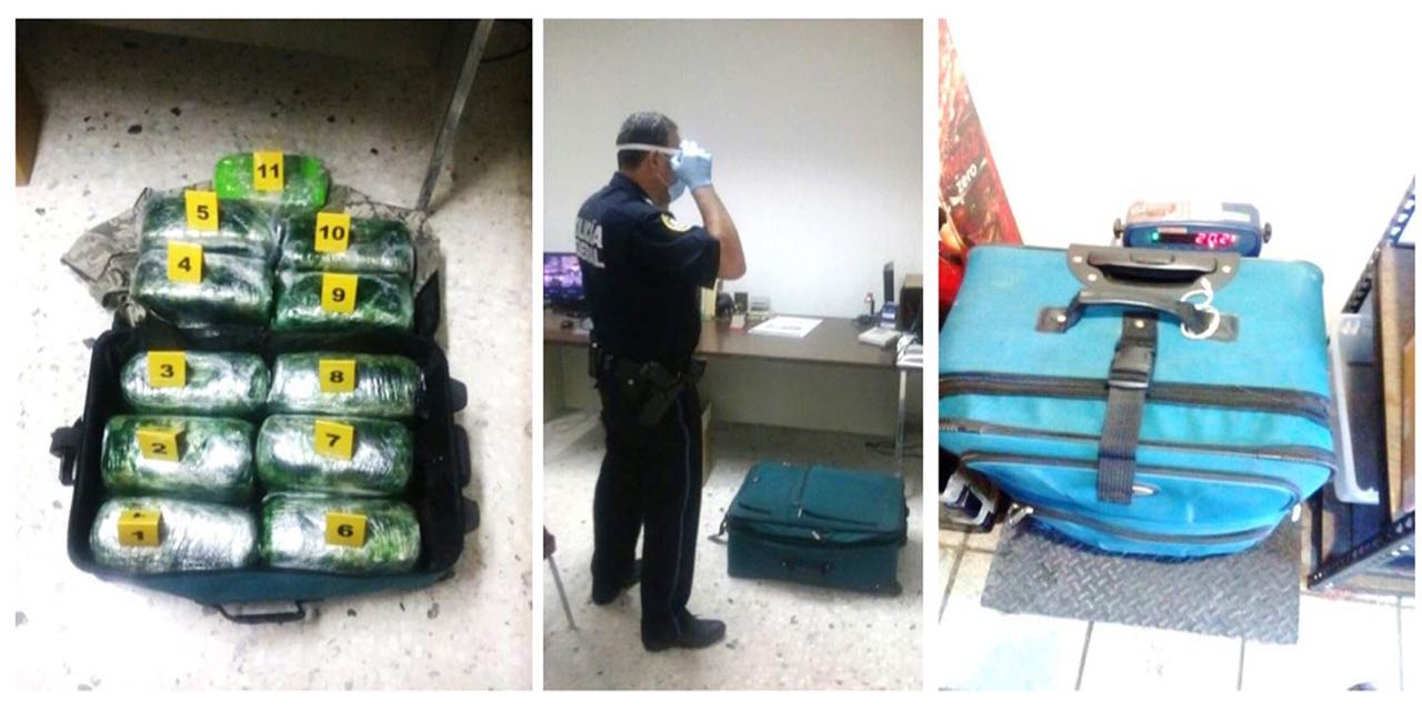 En el interior de una maleta azul cielo localizaron 11 paquetes de color verde, envueltos en plástico.