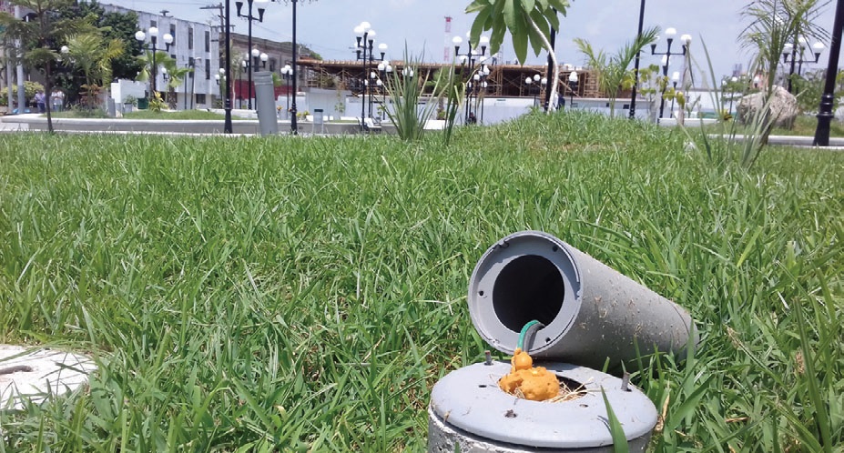 Uno de los sitios que han sido objeto de vandalismo es la Plaza Hijas de Tampico.