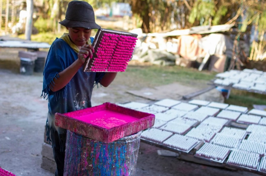 Reyes Vázquez después de mucho tiempo creó su propia empresa y da empleo a más de 10 personas, todas de Tultepec.