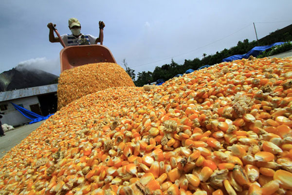 Productores de granos básicos.