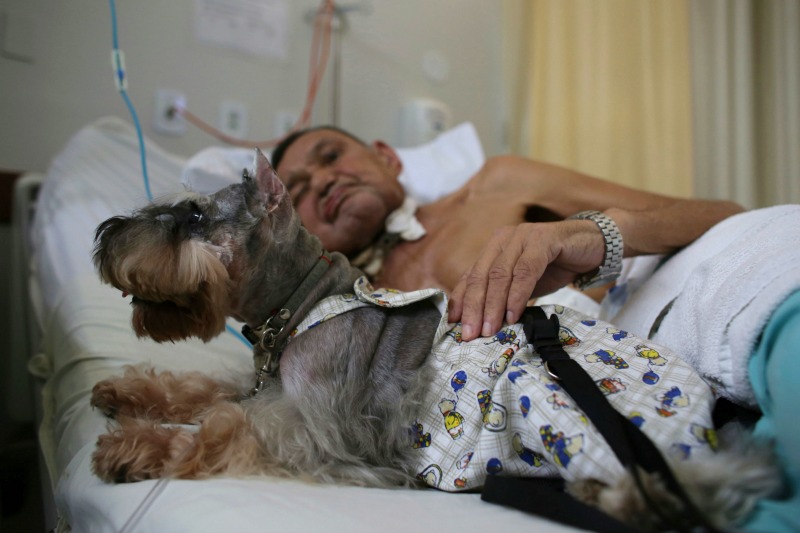 Los perros se suben a la cama de algunos pacientes para acurrucarse durante una visita de 15 minutos.