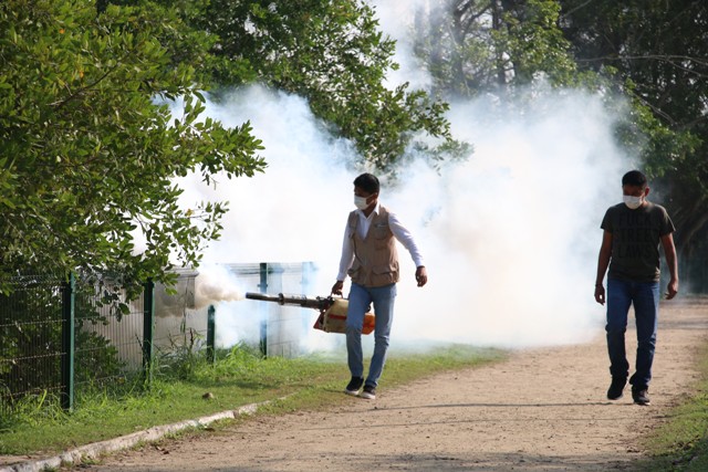 Fumigación Laguna del Carpintero 