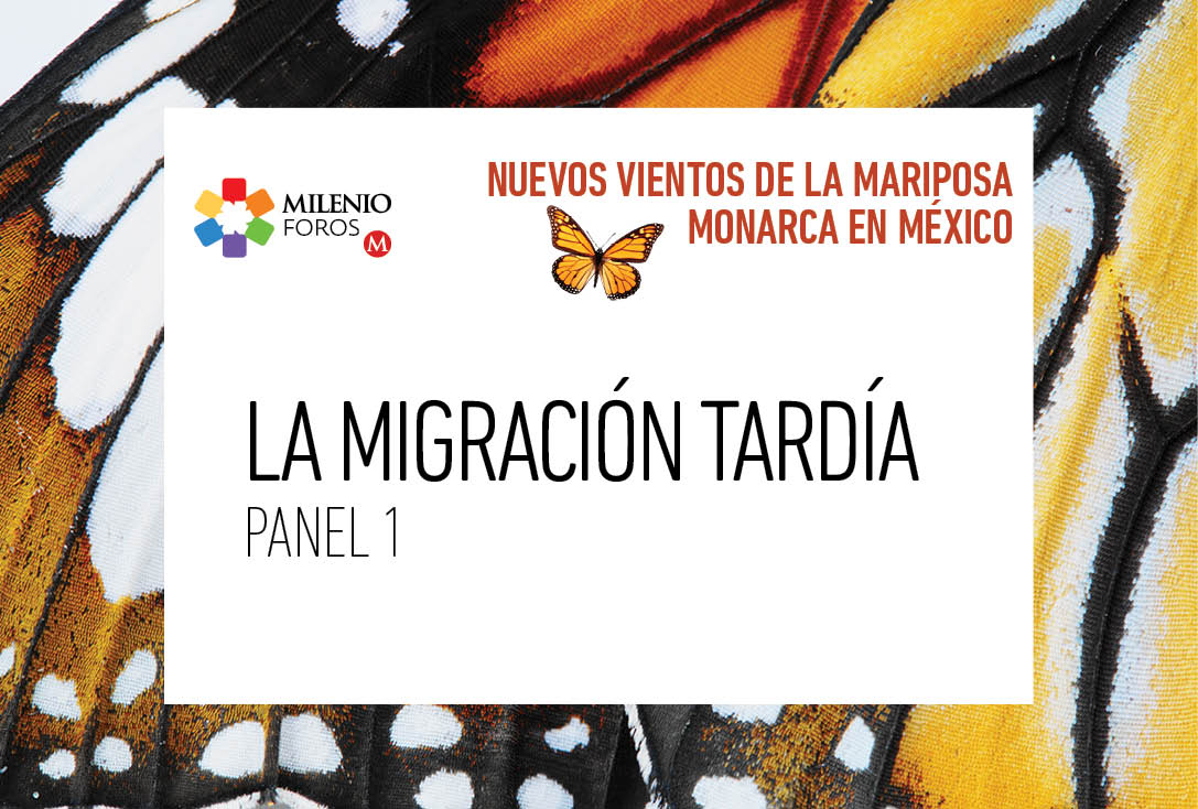 Nuevos vientos de la mariposa monarca en México