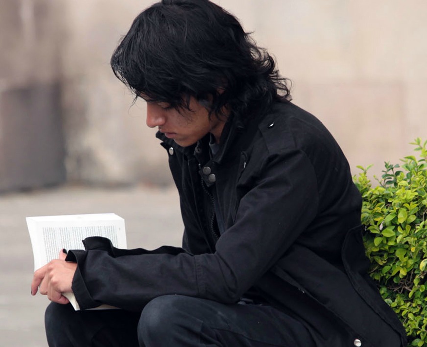 Lectura, libro, estudio, estudiante, poesía, libros, alumno.