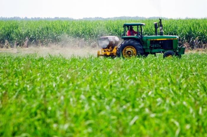Productores del campo en Tamaulipas 