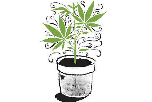 Cultivar mariguana en el balcón y despertar todavía puesto tras haber seducido a una casi-desconocida en la enorme cama sagrada en la que sus abuelos 