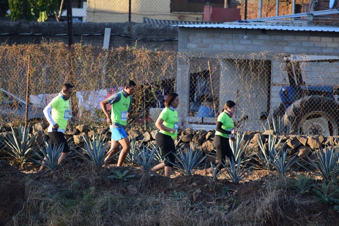 El plus de esta carrera es poder hacer deporte con el paisaje agavero de fondo.