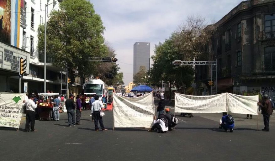 Los campesinos pidieron recibir apoyo de Sedesol, Sedatu y Sagarpa.