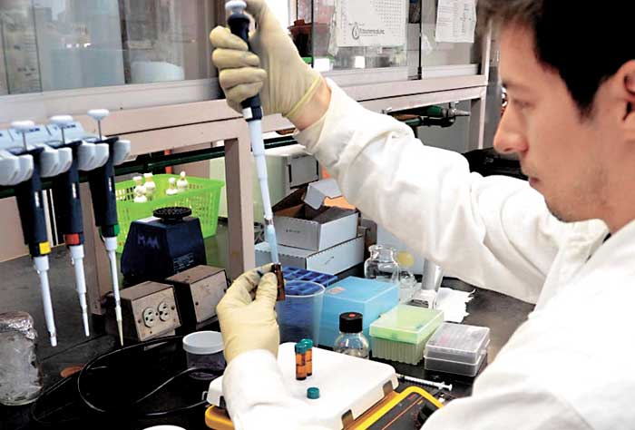 Los expertos desarrollan un biosensor basado en una proteína.