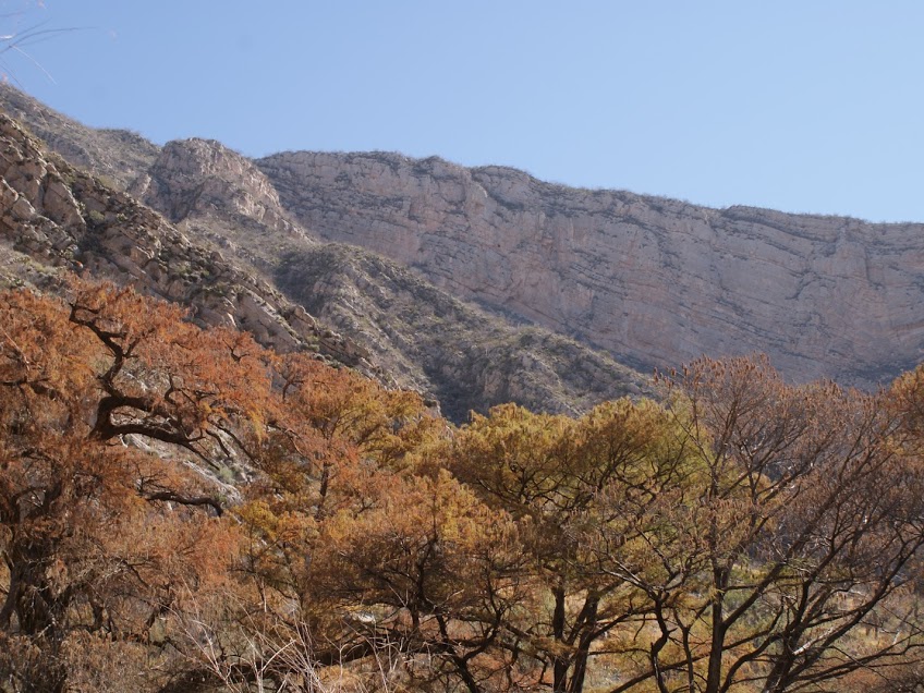 Prodefensa del Nazas no administrará más la zona Ramsar del Cañón de Fernández.