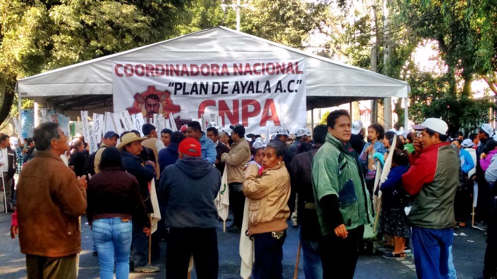 Los campesinos instalaron una carpa sobre la avenida Municipio Libre.