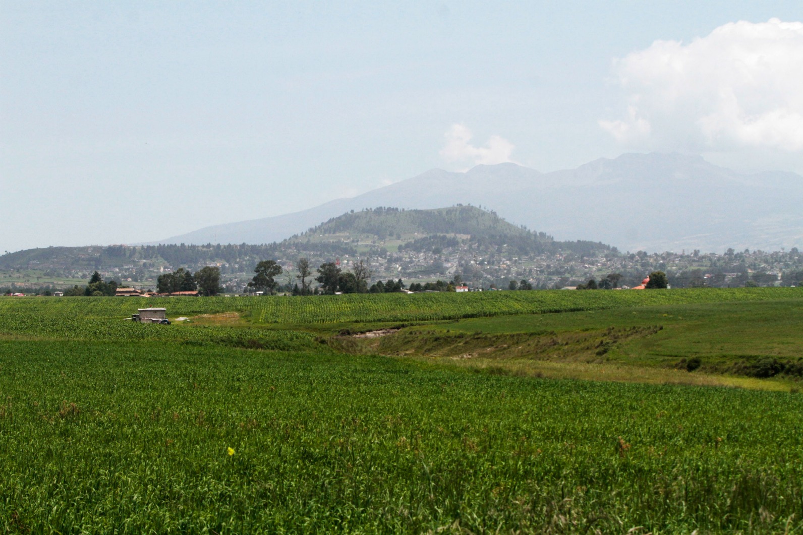 Campo en Calixtlahuaca, agricultura, siembra, cosecha, milpa, campesinos, campesino, maíz.