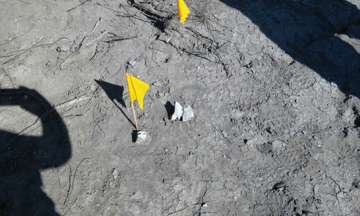 En Coahuila, se investiga el hallazgo de restos en terreno baldío de Múzquiz.