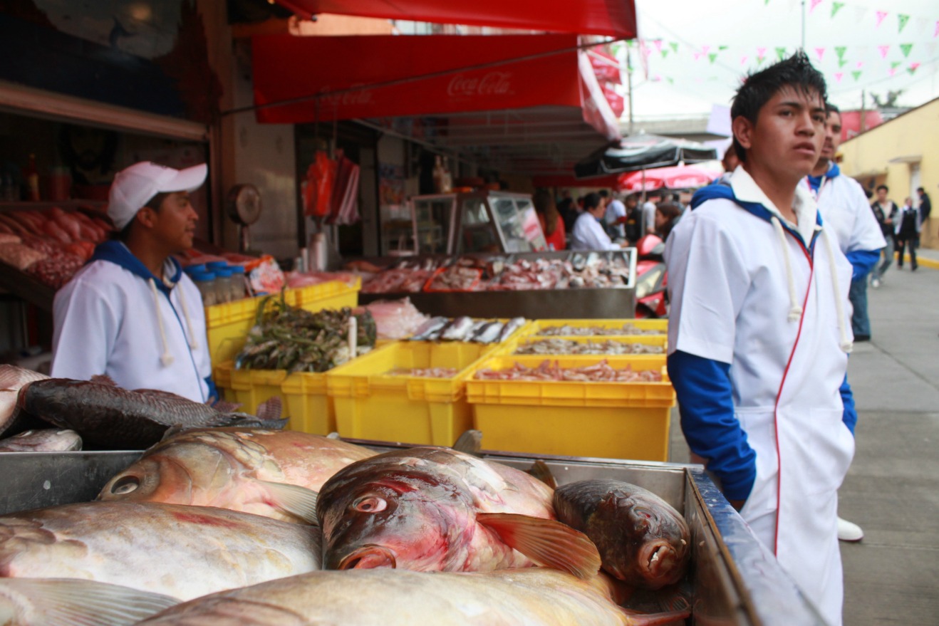 Venta de pescados y mariscos, marisquería, comercio, tianguis, mercado, pescado, marisco.