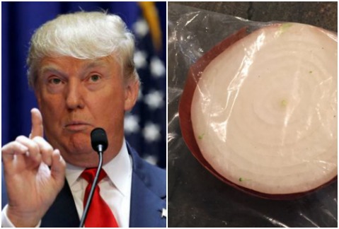 Media cebolla en una bolsa es una cuenta de Twitter con el único objetivo de tener más seguidores de Donald Trump. 