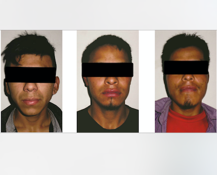 La detención de los tres imputados de origen guatemalteco, se logró cerca de la frontera con Guatemala.