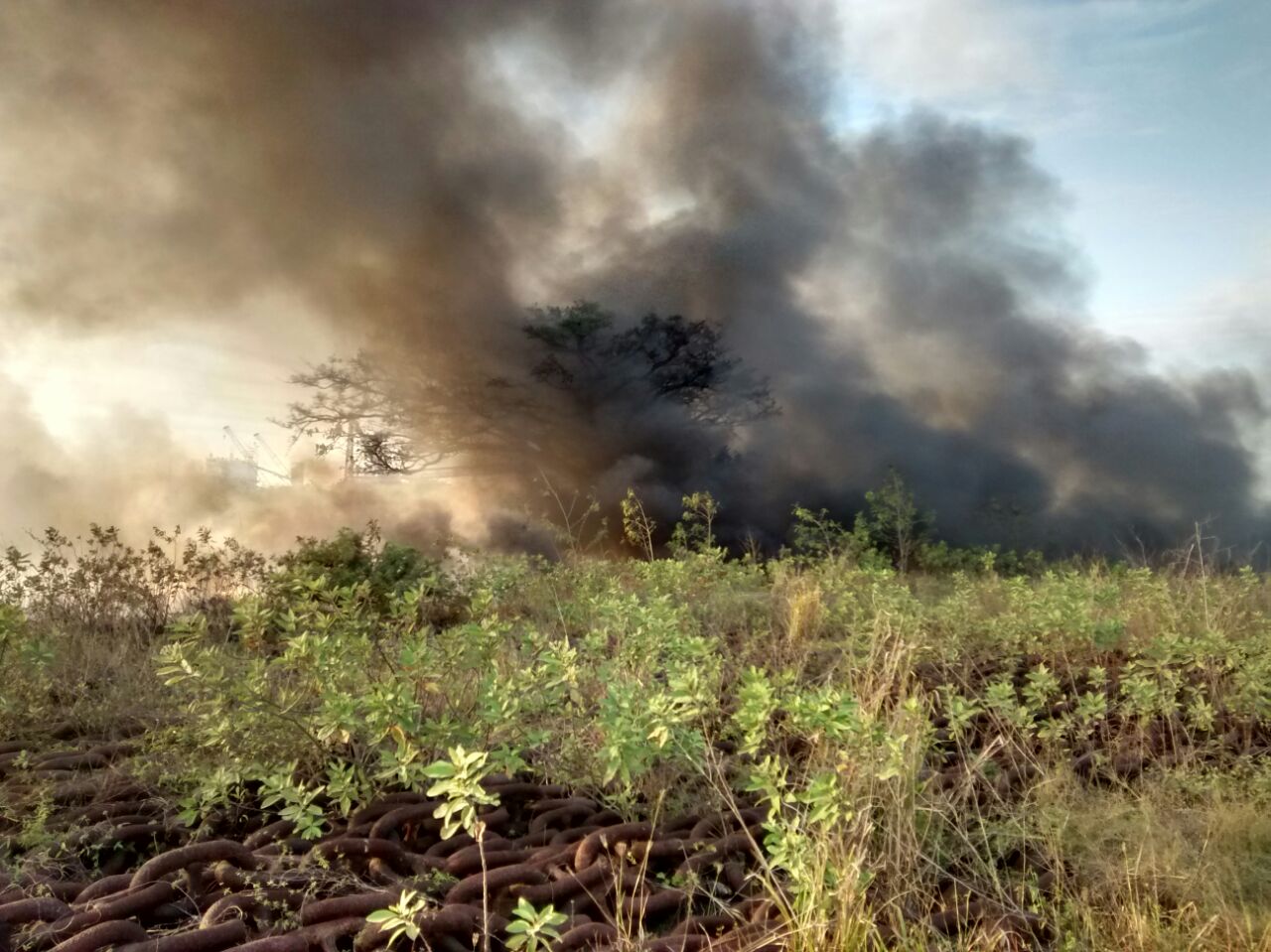Incendio de zacatal en Congregación Hidalgo.