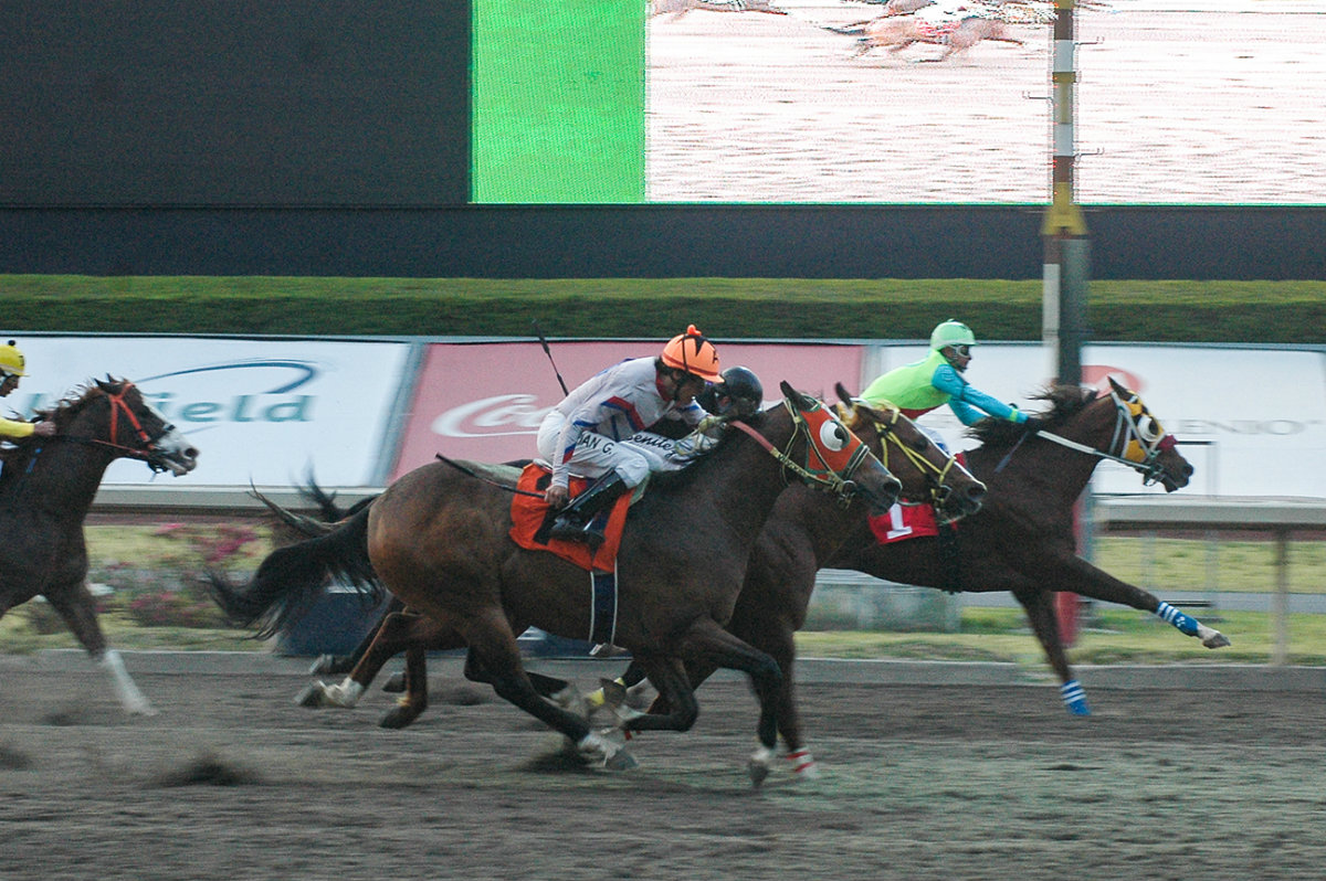 JW Fast Comment obtiene su segundo triunfo en el Hipódromo de las Américas