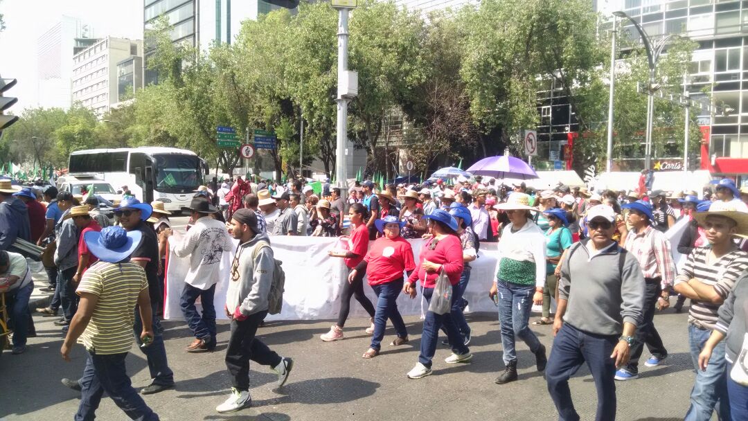 Los campesinos marcharon de Segob a la Sedatu.