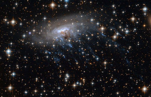 El grupo de galaxias IDCS 1426