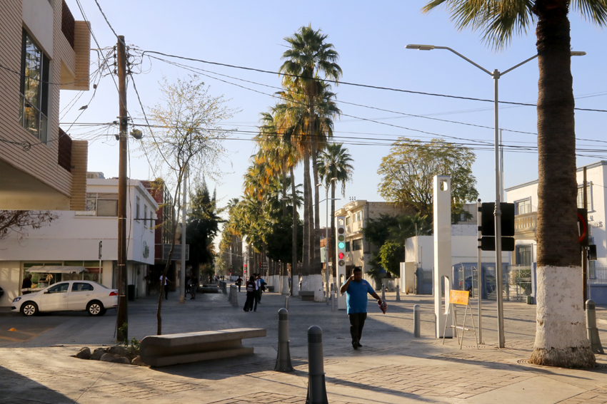 Actualmente en el corredor prevalecen en varios tramos de sus casi dos kilómetros de extensión postes de electricidad y de telefonía.