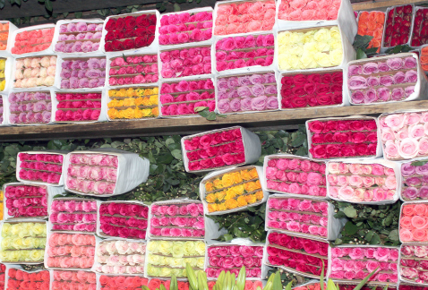 La Central de Abasto tendrá venta especial nocturna de flores, con motivo del Día del Amor y la Amistad.