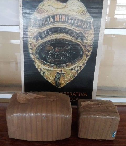 Decomiso mariguana en San Luis Potosí. 