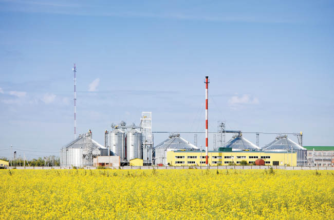 En el país hay seis plantas que producen biodiésel. 
