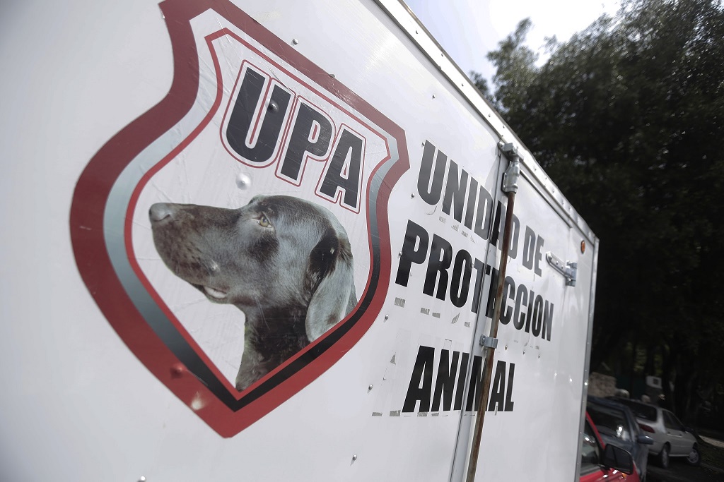 En Tlaquepaque se impulsa la creación de la Unidad de Protección Animal (UPA).
